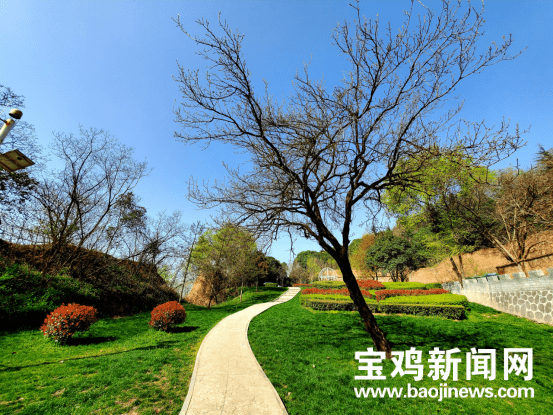 宝鸡人春暖花开来北坡森林公园踏青吧