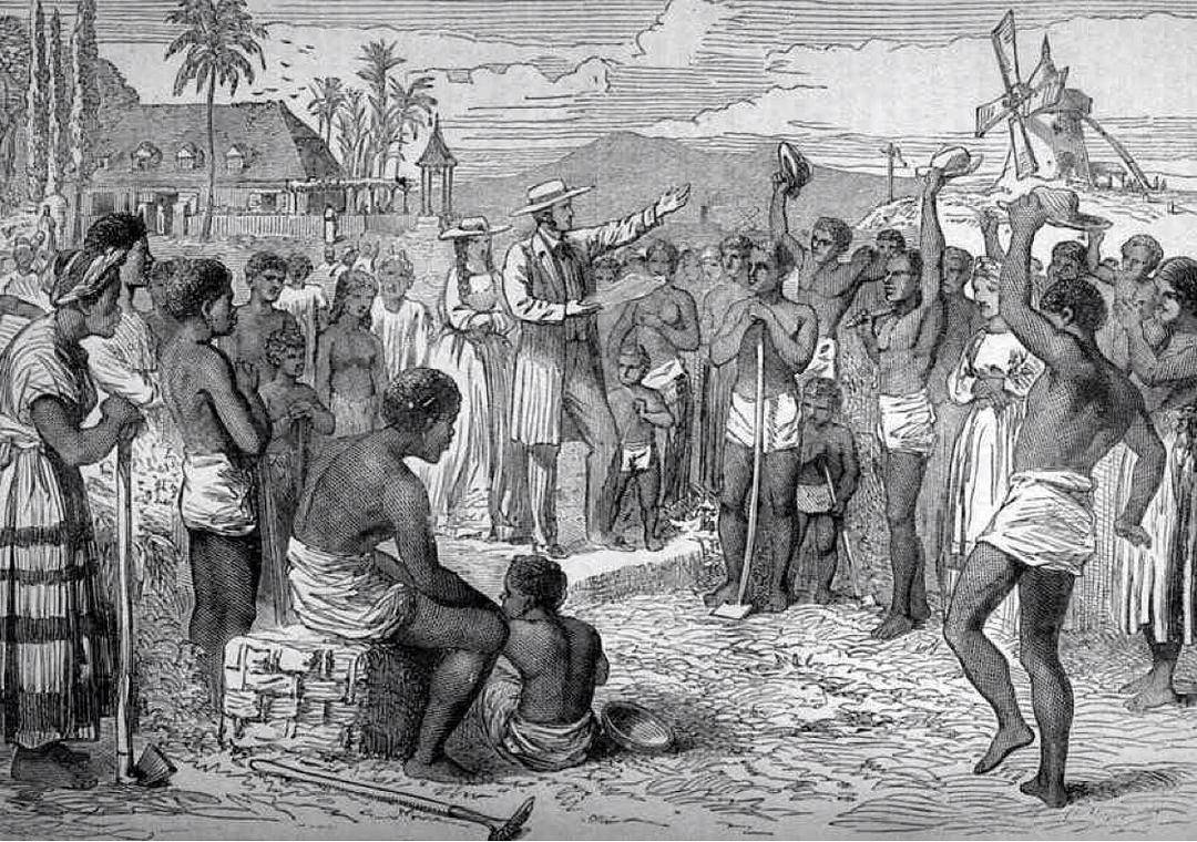 原创罪恶的黑奴贸易:黑人身强力壮,为什么不奋起反抗?