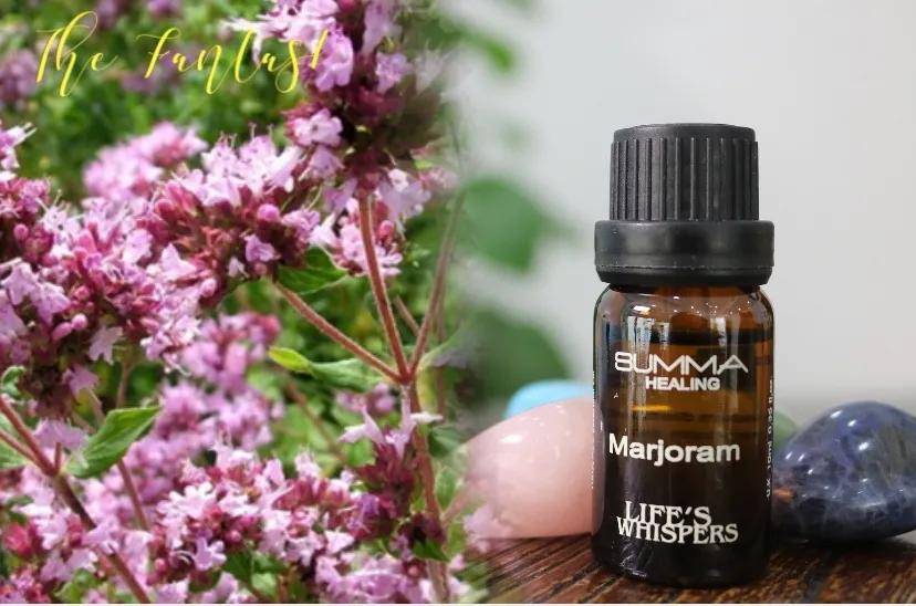 马郁兰 一般所说马郁兰,也称"甜马乔莲","甜马郁兰" 名称:marjoram