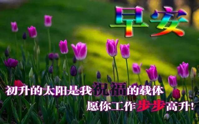 2021年早上好问候表情包,清晨祝福早上好问候语温馨语录