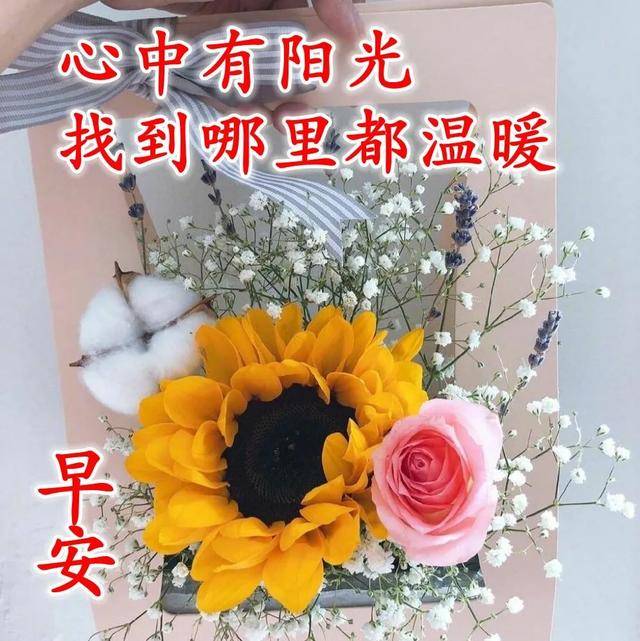 每天发朋友圈必备早上好祝福表情图片 送朋友最棒的早安句子 早安祝福