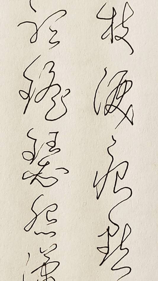胡维平硬笔书法艺术欣赏