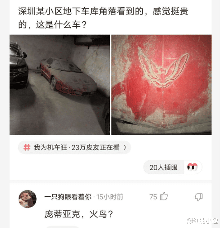 "某小区的地下车库看到的,这是什么车?"暴殄天物,哈哈哈啊哈哈