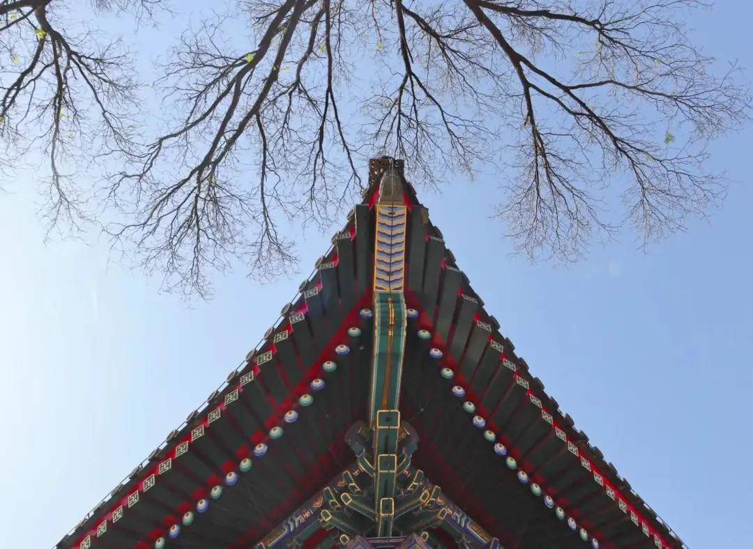 三角形构图