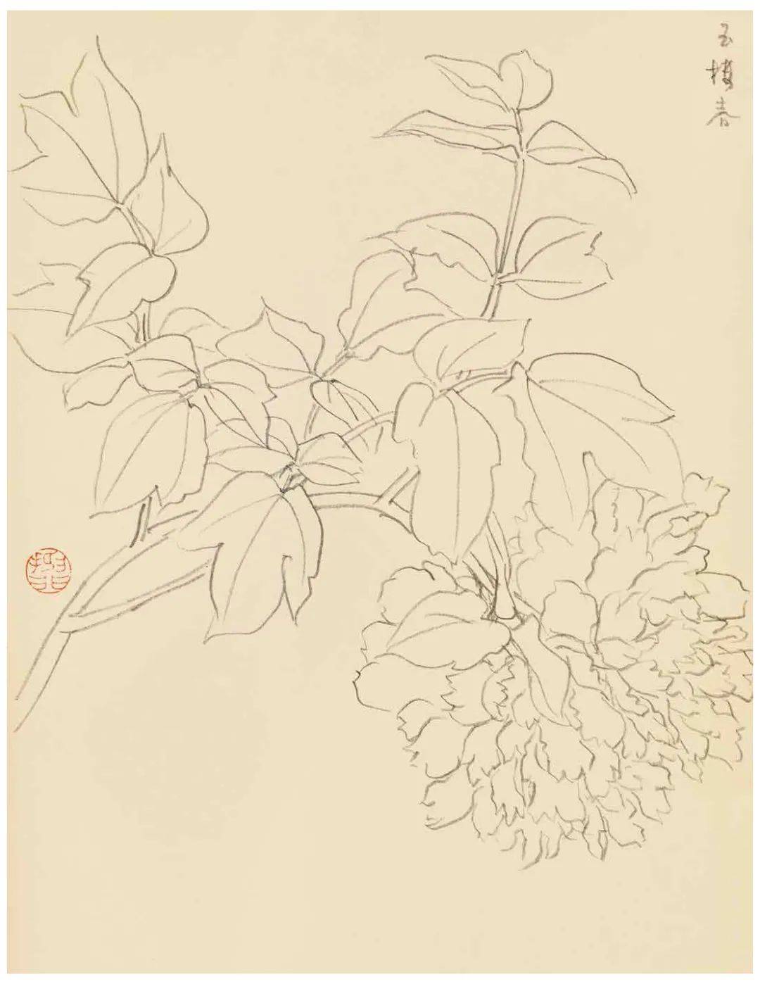 陆抑非白描花鸟课徒稿(53图)