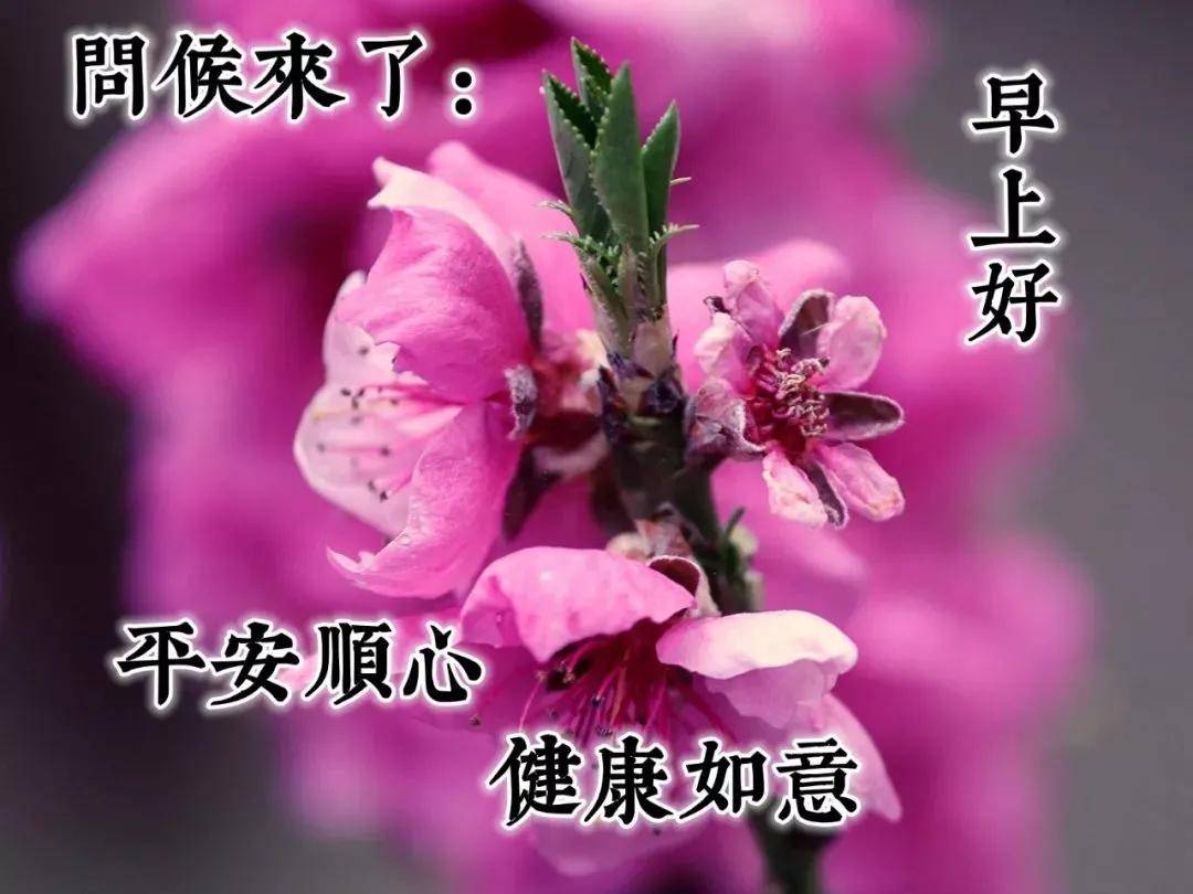 2021年早上好温馨问候语大全,早安祝福图片,精选朋友圈祝福
