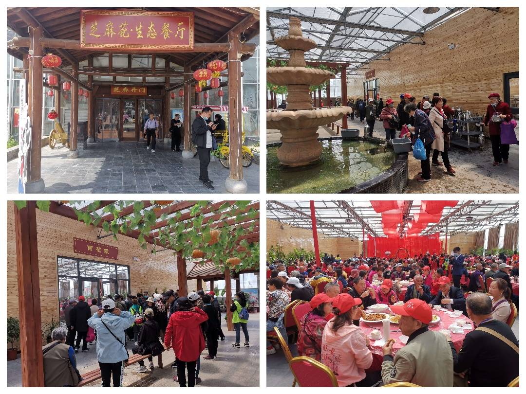 八百多名成都游客在平舆县蓝天芝麻小镇景区开启踏春休闲之旅