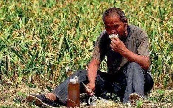 第二点是回家种地赚钱少.