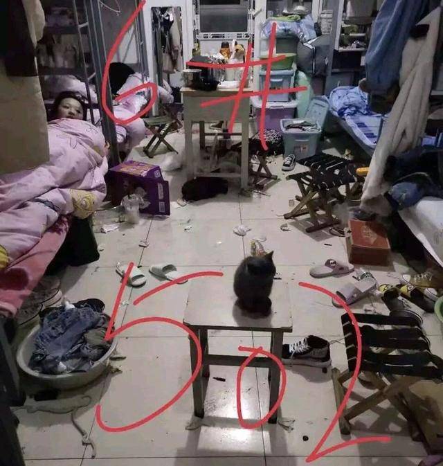 搞笑当代大学生的搞笑日常这样上大学真的好吗哈哈哈