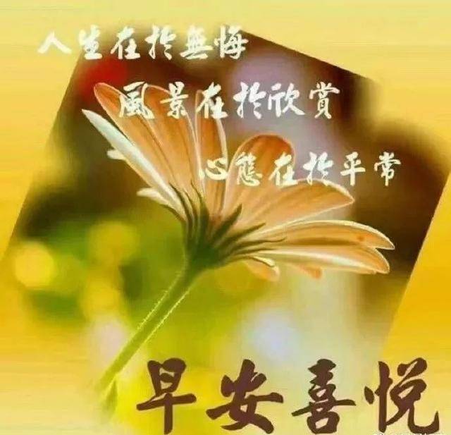 早晨好问候祝福语录 早上好问候祝福语表情图片