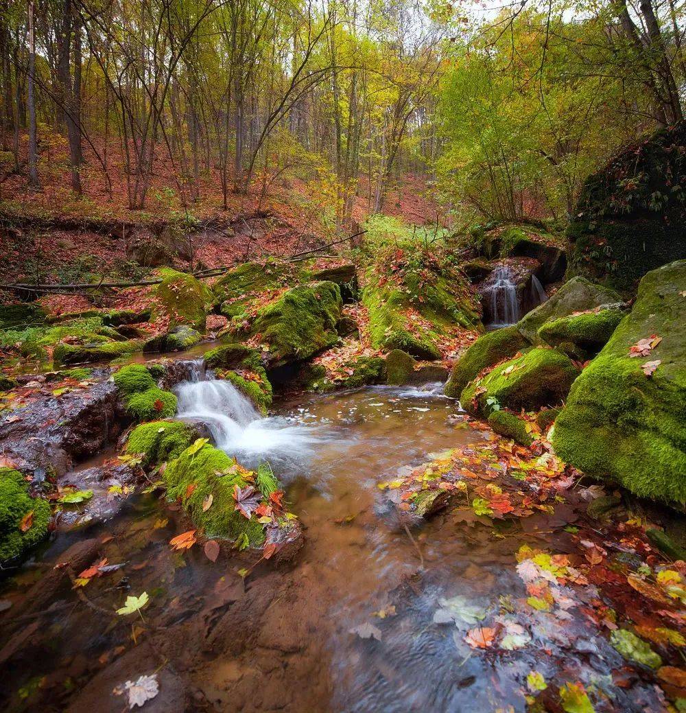 静心美景,赏心悦目,自然风光美图赏析精选