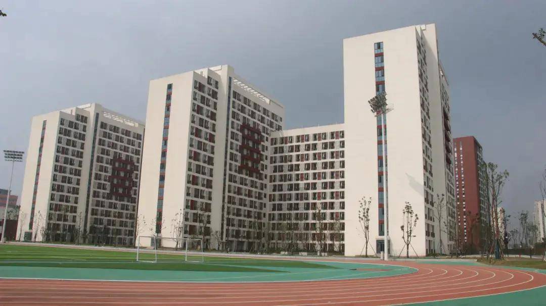 成都新晋网红打卡地来了!大运村b区12幢建筑竣工,食堂已对学生开放
