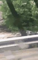 搞笑gif趣图:老弟啊!一顿操作猛如虎