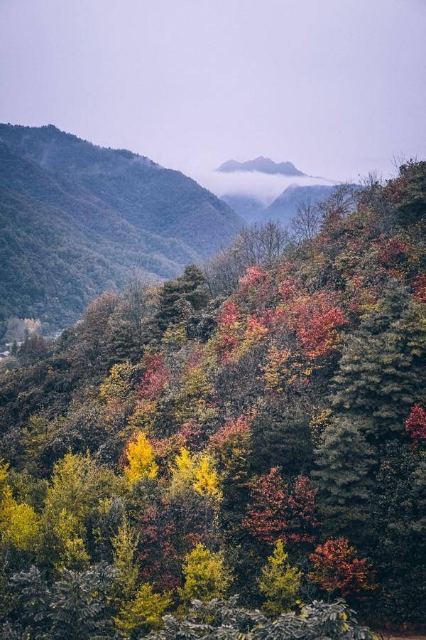 大山深处的景色还是一流的,可能因为正好是秋天的原因,所以风景才会
