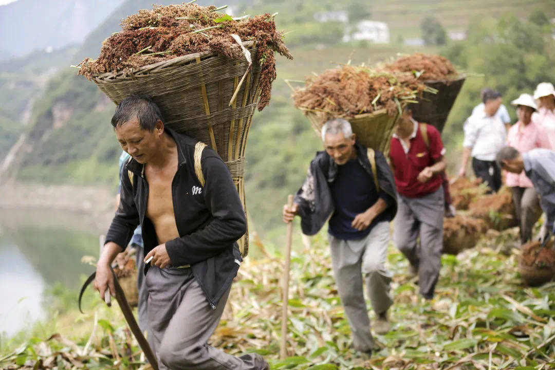 劳动节|致敬每一个努力奔跑的人