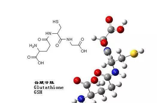 谷胱甘肽分子式