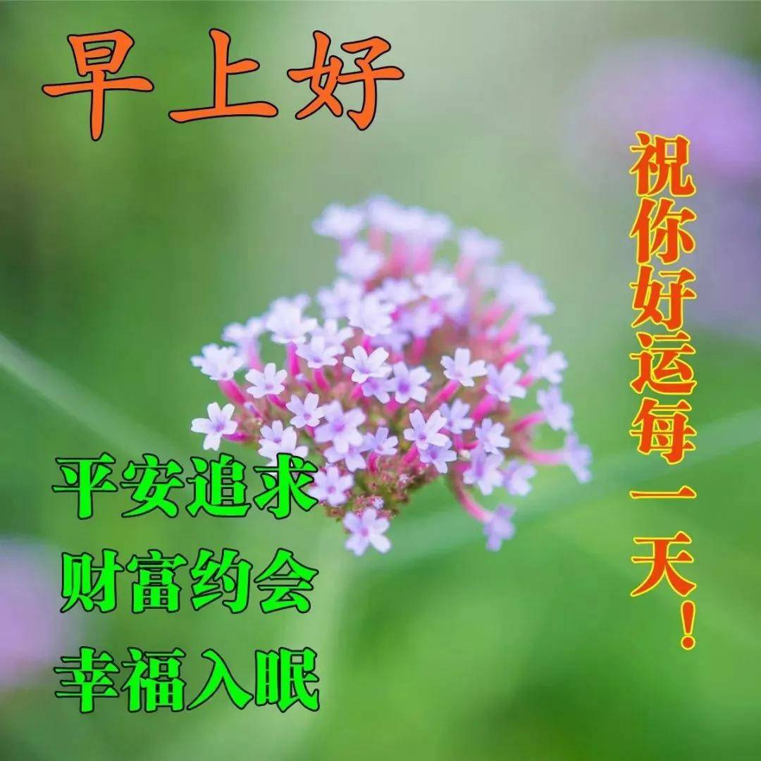 2021年早安温馨祝福语录图片,愿我小小的问候带给你快乐,早安,朋友!