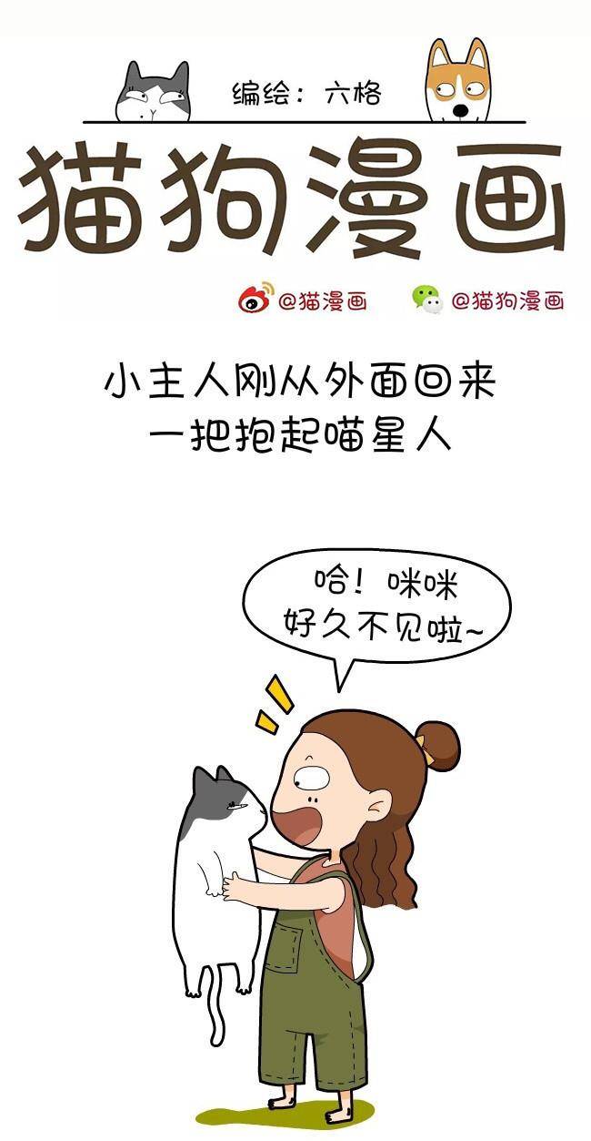 猫狗漫画:猫咪表达喜爱的方式,看看你家咪咪爱不爱你