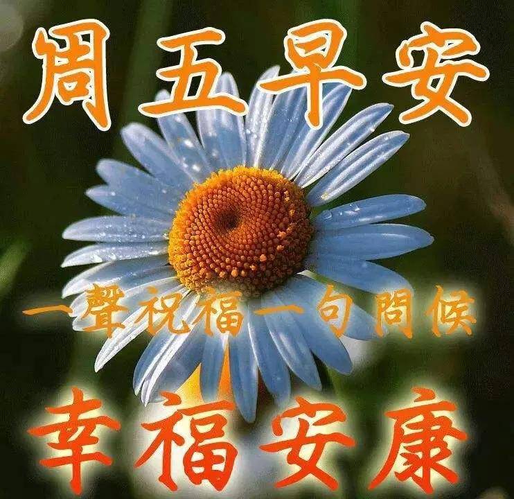 4.23星期五朋友圈早上好祝福动态表情图片清晨早上好暖心祝福句子