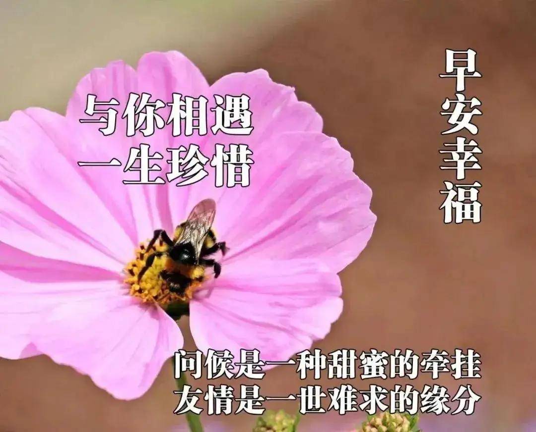 心怀善念,能利人;心怀感恩,能利己!早安