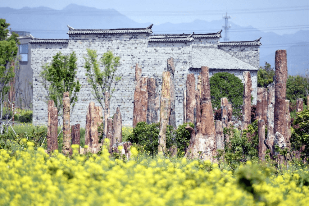 神秘探索,游玩赏景 品味美食,亲子互动 义乌森山小镇, 许你一段"慢