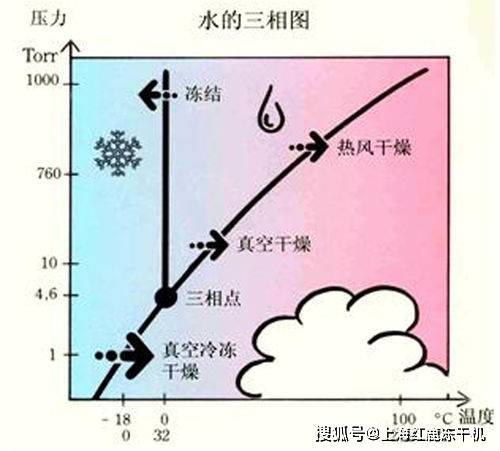 真空冷冻干燥机原理及结构图