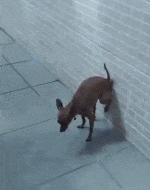 300_381 竖版 竖屏