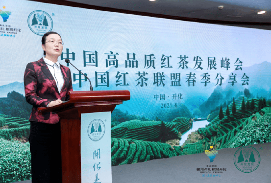 钱江源·开门红—茶叶专家齐聚开化 力助中国高品质红茶发展