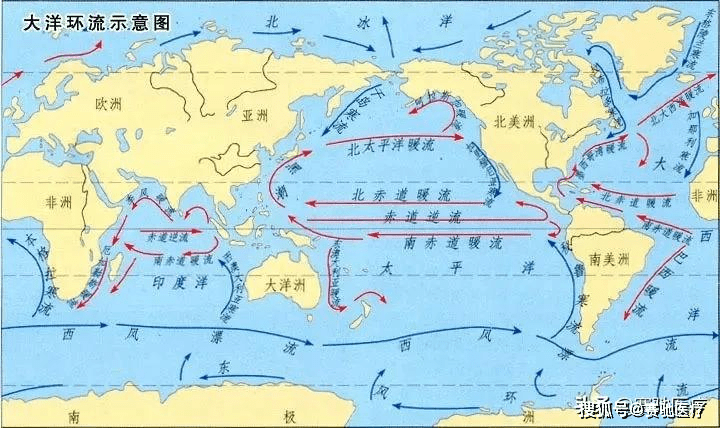 此外,北太平洋洋流顺时针流动,福岛在日本太平洋一侧,核废水中的污染