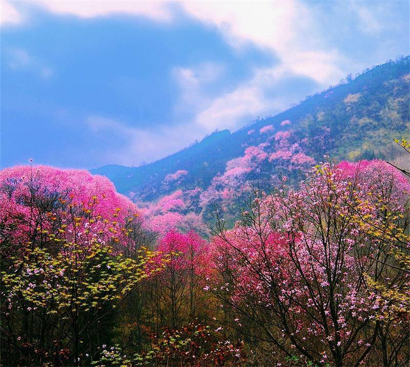 药王谷喜洲古镇是电影《五朵金花》的取景地,它西倚苍山,东临洱海,有