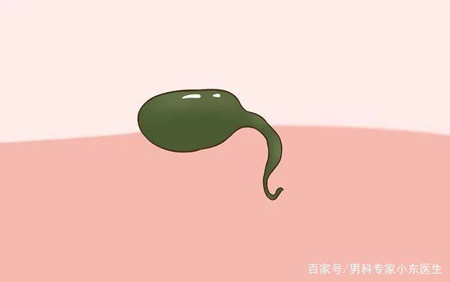 如何保持"小蝌蚪"的质量?_精子
