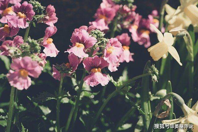 四月再见五月你好朋友圈唯美文艺句子 五月你好唯美说说励志句子