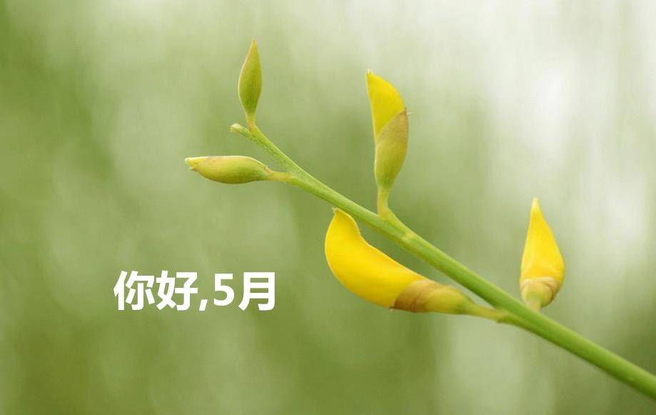 2021年5月1日星期六劳动节早上好问候免打字表情图片