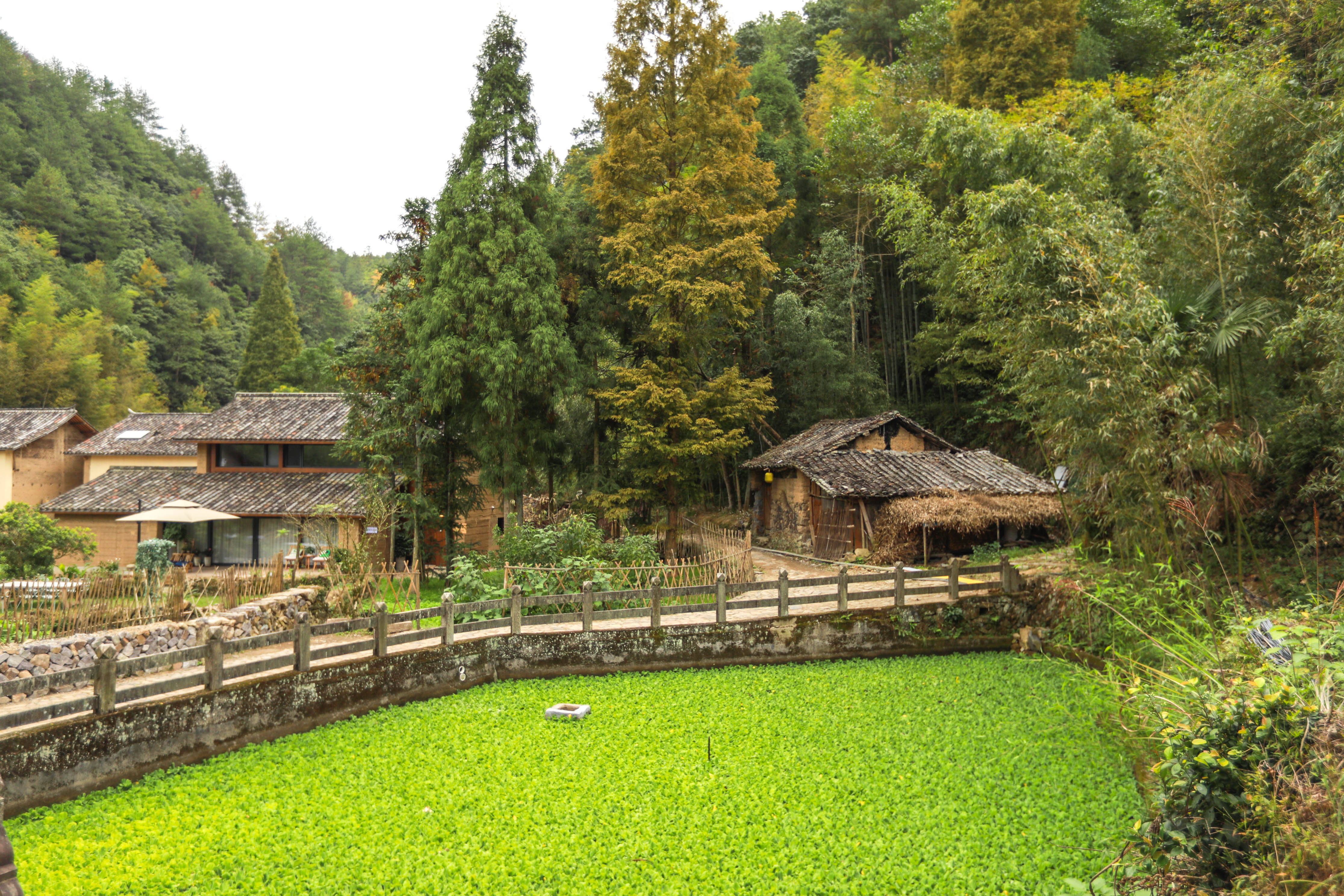 养生福地浙江泰顺,寻找大隐于市的千年古村