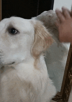 280_396 竖版 竖屏