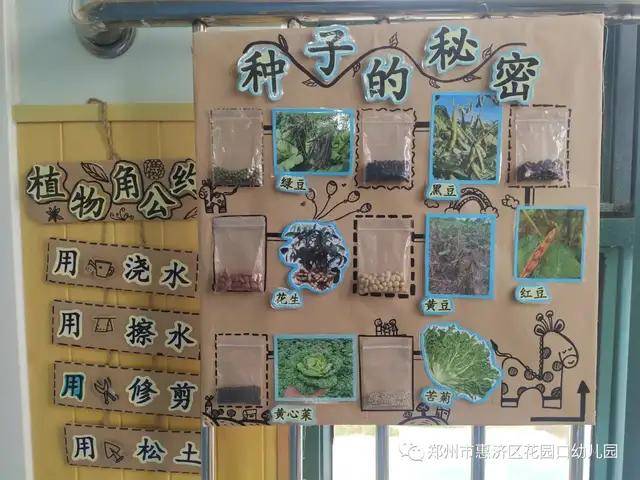 惠济区花园口幼儿园种植区里的秘密在种植活动中提升科学素养