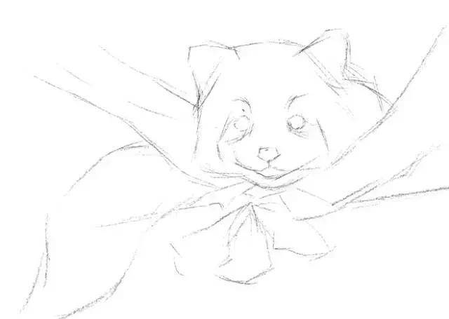原创只需8步教你画一只素描小熊猫
