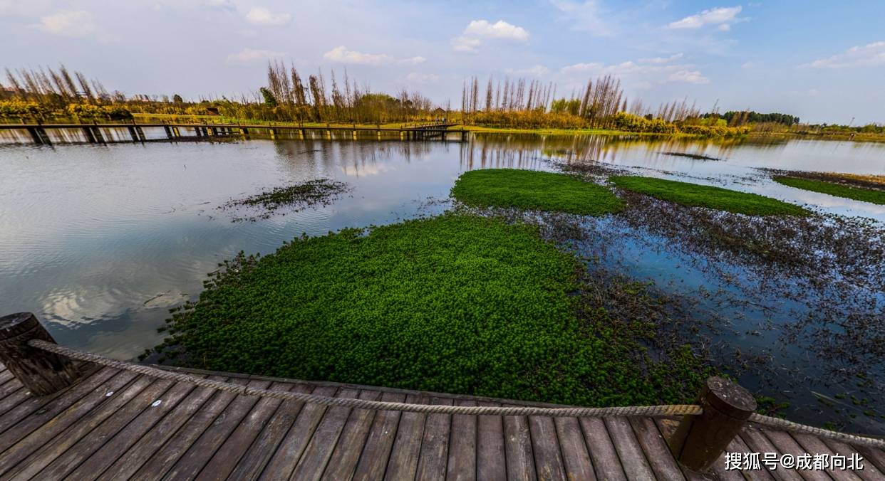 新都区3340亩香城湿地公园将进行改造升级,目前正在进行方案设计