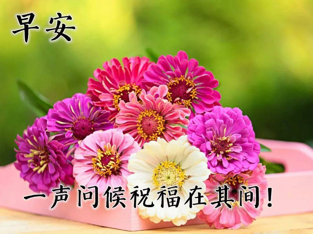 原创早上好温馨祝福词语图片,新一天快乐如意!祝福与你相伴,早安!