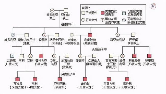 上百年的近亲结婚,不仅制造一位疯子国王,还重启了英法百年战争_查理