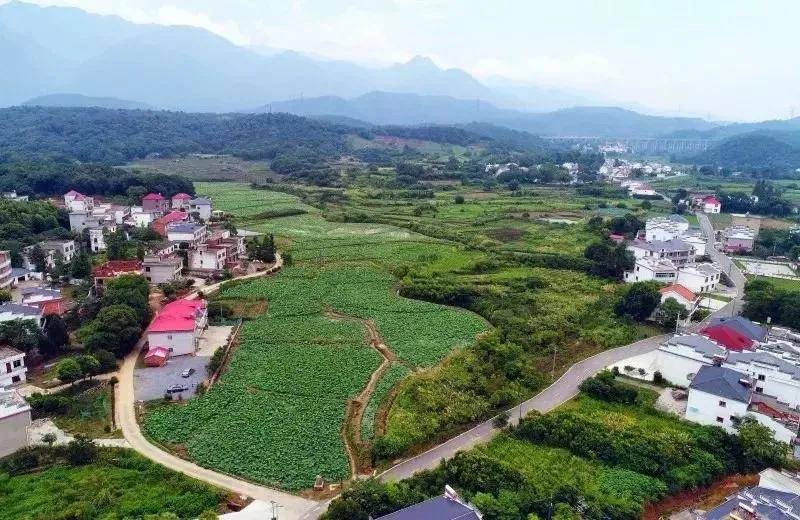 请到九江柴桑区濂溪区秀美山村旅游