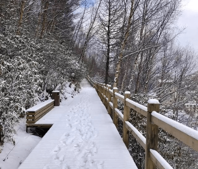 今天四姑娘山,达古冰川下雪了!五月,来四川阿坝赴一场五月飞雪