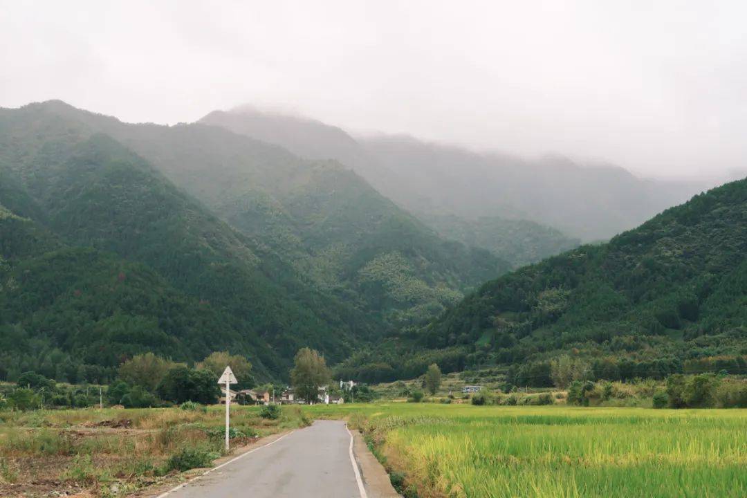 中国最早的艺术振兴乡村实践——碧山计划