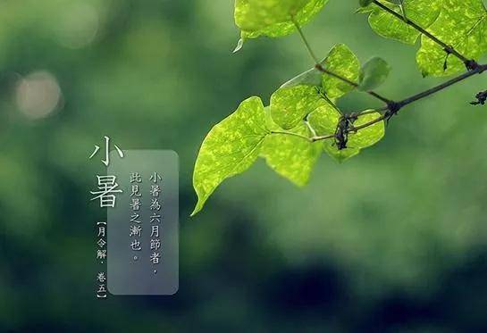 【公基备考】享受小满,重温夏季节气