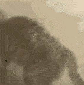 283_286gif 动态图 动图