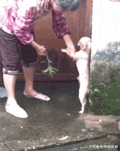 240_301竖版 竖屏gif 动态图 动图
