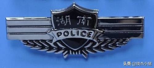 一文看懂警号