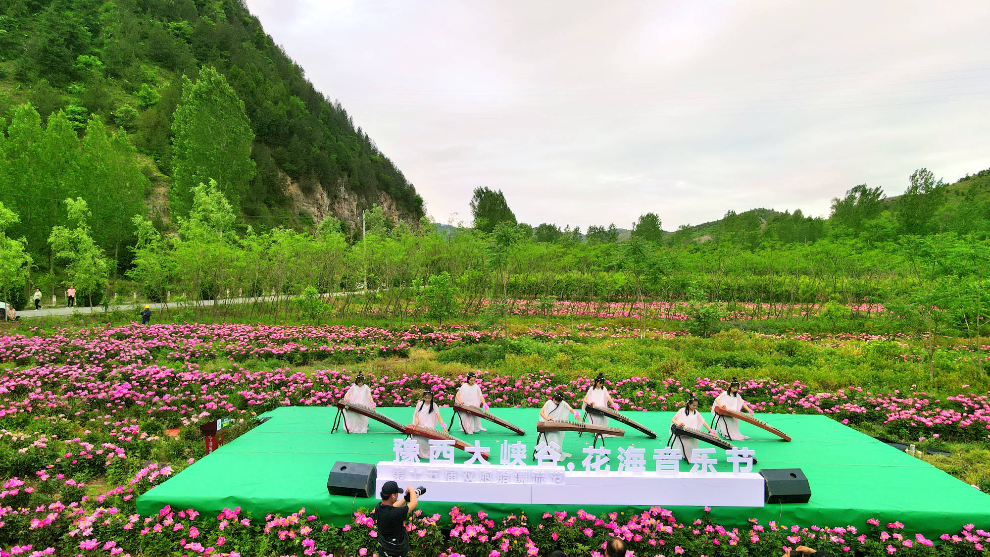 在千亩芍药种植基地的田间地头搭建舞台,以青山绿水做背景,以粉色花海