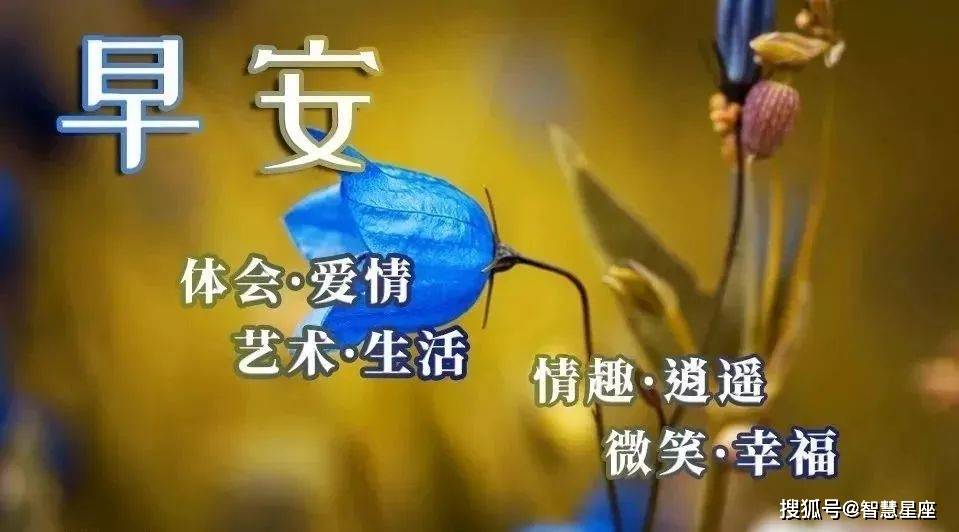 5月25日早上好最经典的祝福语短信大全 朋友圈暖心