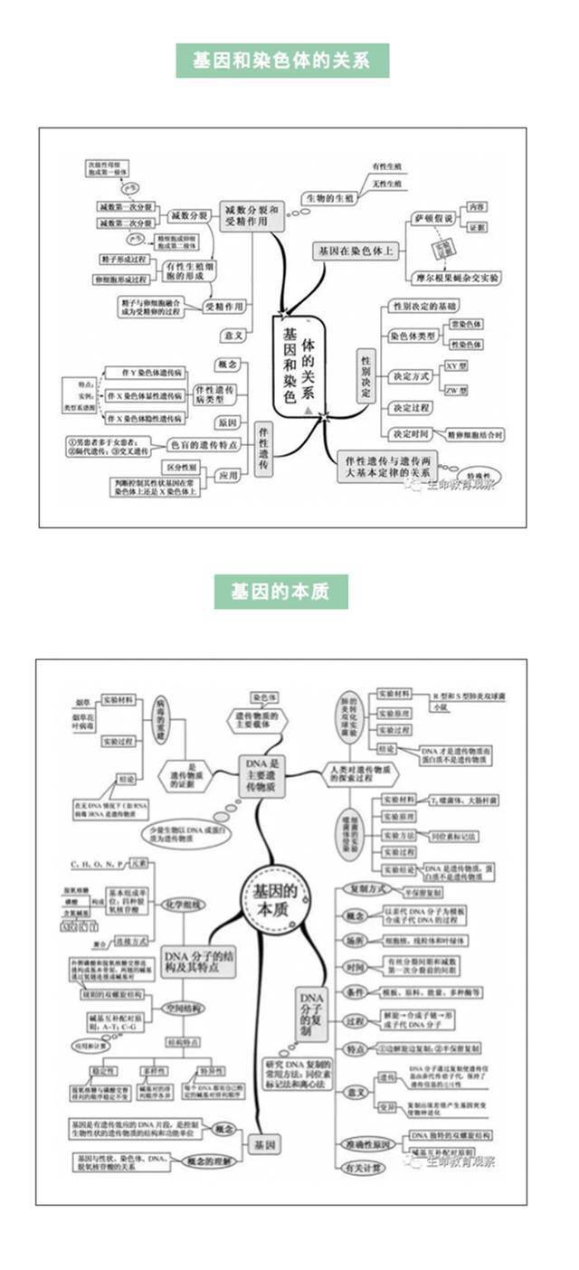 高中生物:学霸整理20张生物思维导图,学习复习都好用